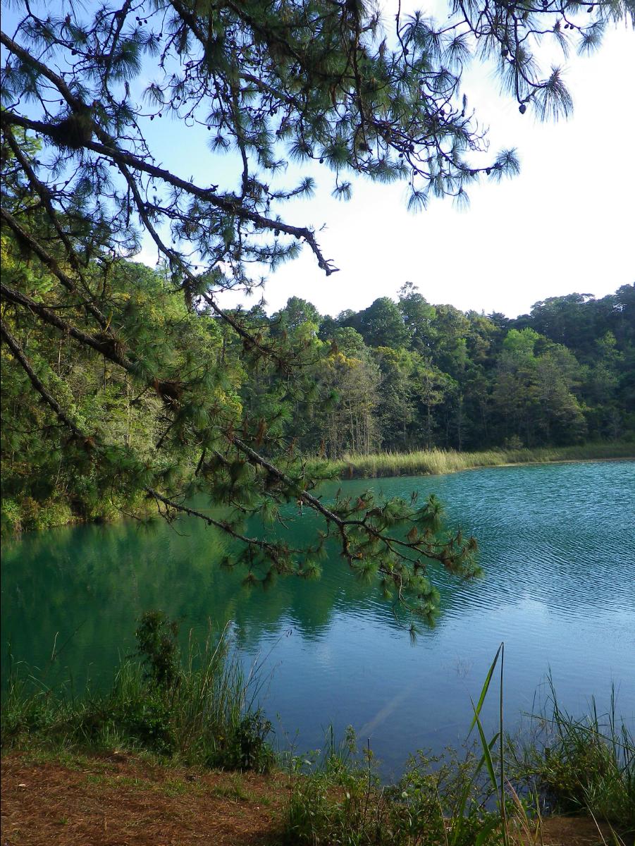 Lake Area42
